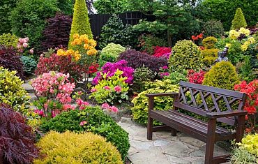 О ландшафтном дизайне